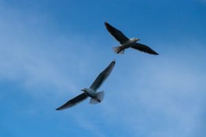 IMG_9797
