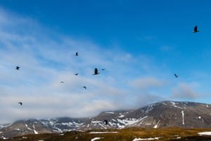 IMG_9800