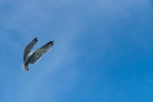 IMG_9809