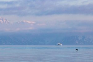 IMG_9835