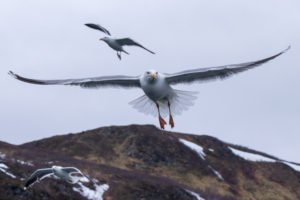 IMG_9848