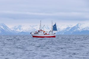 IMG_9887