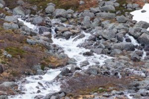 IMG_9985