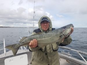 LWTP2499
