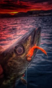 20190620_020033-01