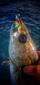 20190620_194901-01