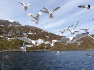 IMG-20190605-WA0004