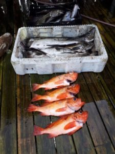 IMG-20190614-WA0002