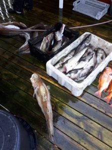 IMG-20190614-WA0003