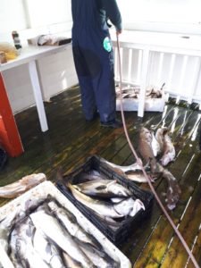 IMG-20190614-WA0004