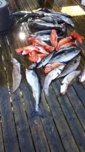 IMG-20190615-WA0008