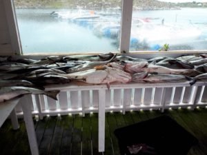 IMG-20190619-WA0002