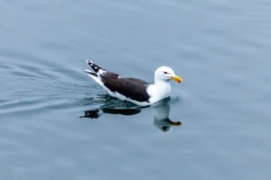 IMG_4370