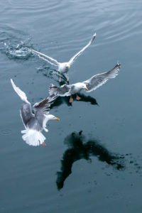 IMG_4373