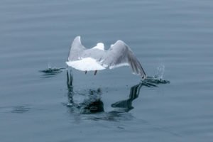 IMG_4382