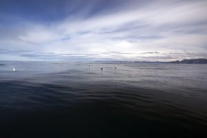 usorvaeru