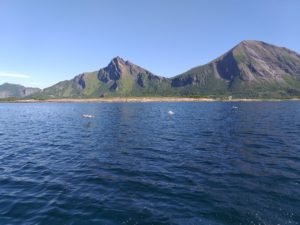20190708_095303