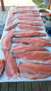 IMG-20190713-WA0001-1