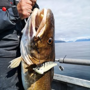IMG-20190718-WA0005