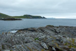 IMG_4669