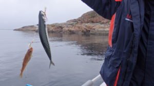P7080066