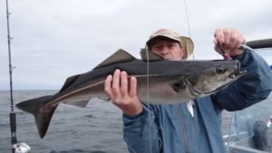 DSC00372-800x450-1
