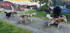 IMG-20190809-WA0008