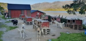 IMG-20190809-WA0016