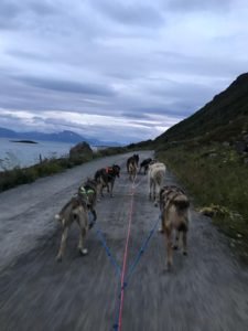 IMG-20190817-WA0021