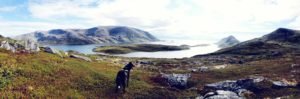 IMG-20190818-WA0002