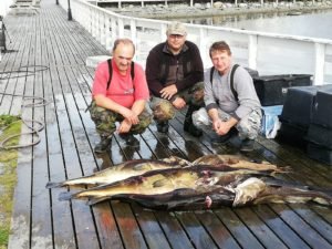 IMG-20190819-WA0004