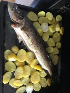 IMG-20190917-WA0001