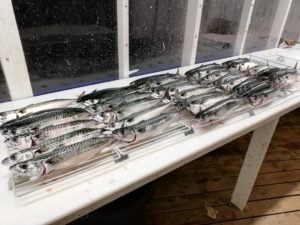IMG_20190902_214816