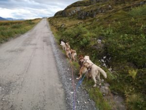 IMG_20190904_190518