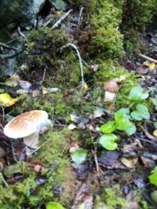 IMG_20190913_163403