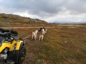 IMG_20190929_153121