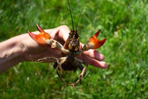 IMG_9308-73