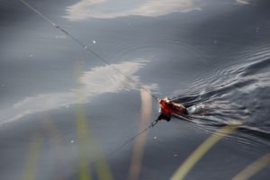 IMG_9605-81