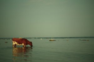 MG_7519