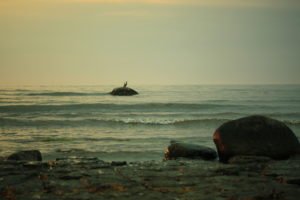 MG_7642