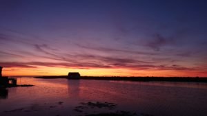 IMG-20191008-WA0003