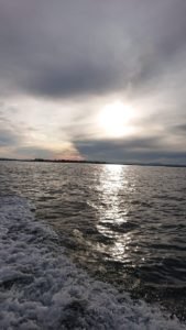 IMG-20191008-WA0013
