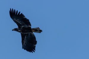 IMG_0828