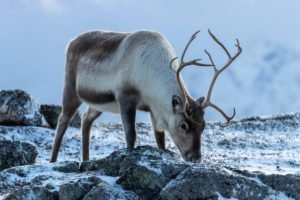 IMG_0857