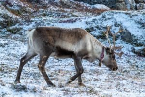 IMG_0869
