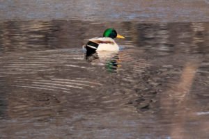IMG_0881