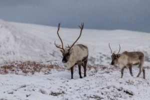 IMG_0934