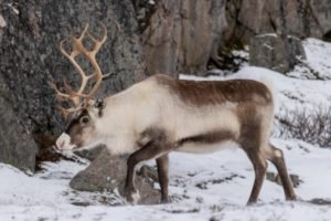 IMG_0937