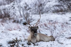 IMG_0977