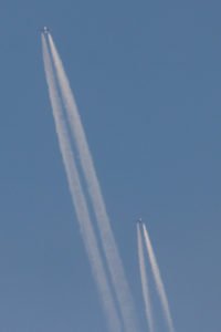 IMG_1052